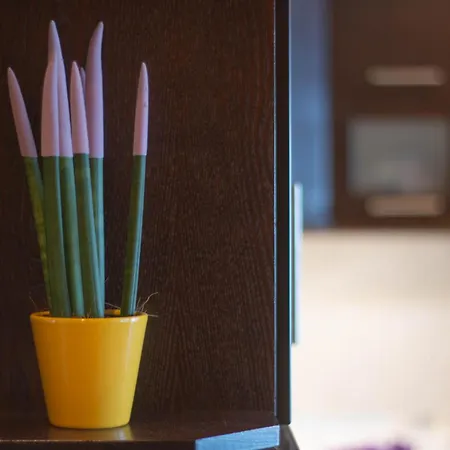 Apartman Balcony View Barbáti